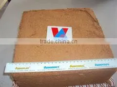 COCOPEAT thumbnail-1
