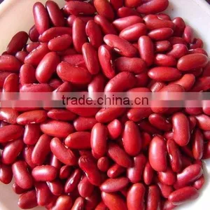 Bean thumbnail-1