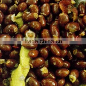 Litchi (longan) Crusher Separator thumbnail-3