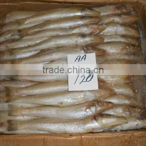 FROZEN LADY FISH thumbnail-1
