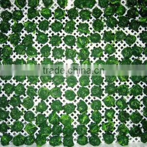 With BRC Certificate Iqf Frozen Spinach thumbnail-2