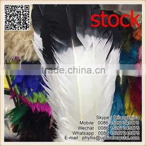 White Wite Black Tip 25-30cm Large Turkey Feather For Sale thumbnail-2
