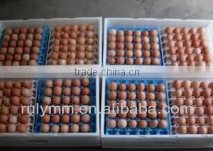 30-cell Plastic Egg Tray/box/carton thumbnail-2