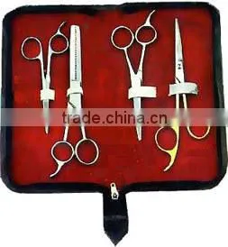 Beauty Instrument Kits With Customized Logo and Leather Case thumbnail-1