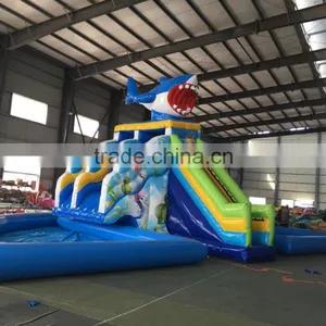 Jumping Castles Inflatable Water Slide,inflatable Vagina Slide thumbnail-2