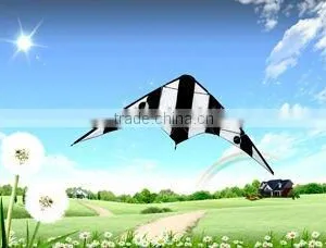 Dual Line Delta Stunt Kites - Curved Edge Kites thumbnail-1