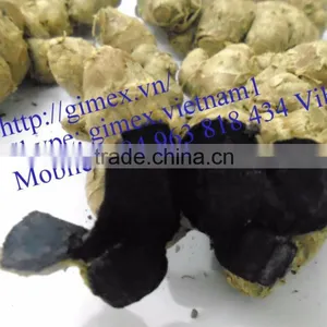 High Quality Fresh Black Ginger thumbnail-3