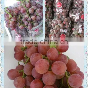 Fresh Fruits of Red Global Grape thumbnail-4