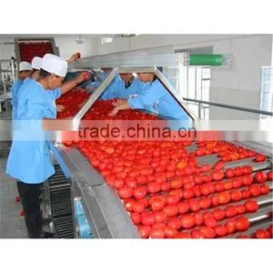 Bulk 28 /30 and 36/38 Brix Tomato Paste in Drums of 220 Liters From Factory thumbnail-1