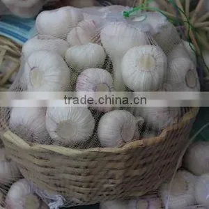 Garlic Type and Fresh Style Fresh White Garlic thumbnail-5