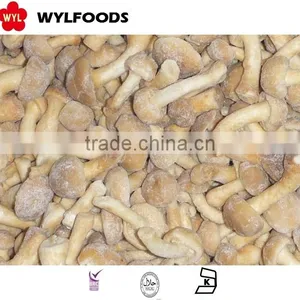 2016 Frozen Mushroom Nameko With Best Prices,Grade A thumbnail-3