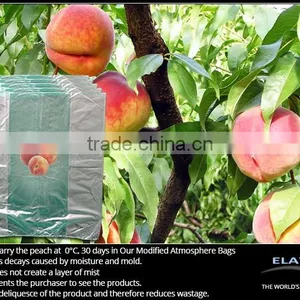 Papaya Bag thumbnail-3