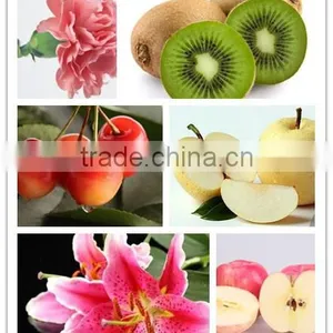 1-Methylcyclopropene Slow Down the Ripening Speed of Fruits thumbnail-6