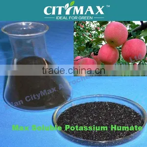 Humate k Organic Fertilizer Factory thumbnail-1