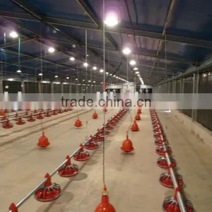 Poultry Chickens Farms for Sale thumbnail-1