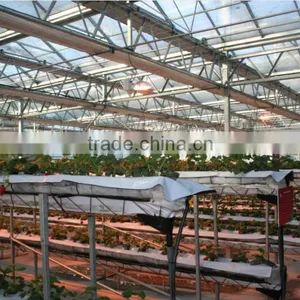 Greenhouse for Sale thumbnail-1