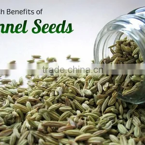 Fennel Seeds thumbnail-1