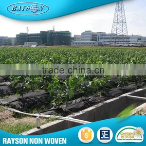 Technology 2016 Agriculture Nonwoven Polypropylene Fabric Roll thumbnail-1