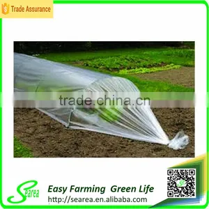 Agriculture Plastic Film for Greenhouse thumbnail-5