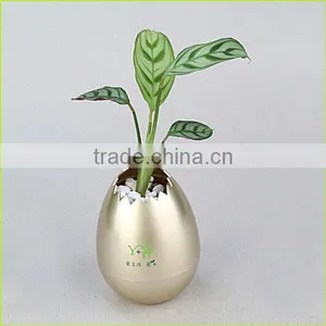UV Oil Coated Colorful Shell Planter From Oem Factory thumbnail-2