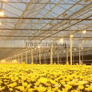 Good Quality Multi Span Polycarbonate Flower Greenhouse With Shading System and Growing Lighting System thumbnail-1