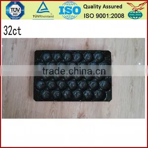 Disposable Plastic Fruit Tray Clear Disposable Plastic Pvc Fruit Tray thumbnail-6