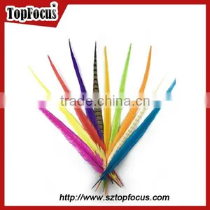 50-55cm Assorted Color Dyed Pheasant Tail Feathers thumbnail-6