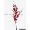 Dried Flower thumbnail-1