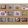 Dog Treats Machine thumbnail-1