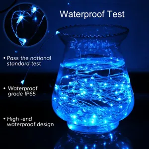 10M 33ft 100LED Copper Wire Fairy String Light With 12V 1A Power Adapter Holiday Party Wedding Christmas Decoration LED thumbnail-5