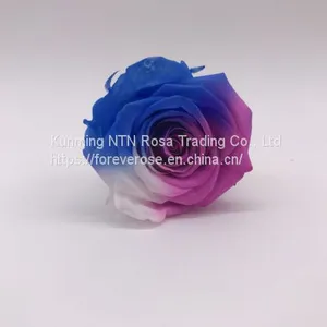 Handmade Immortal Flowers Preserved Flower Rose, Never Withered Roses thumbnail-2