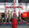 Well Drilling API 6A 2-1/16 thumbnail-3