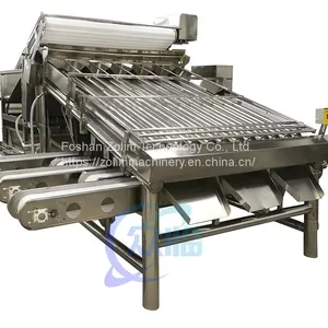 Shrimp Grading Machine With 12 Rollers Shrimp Processing Line China Seafood Processing Machinery thumbnail-1