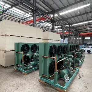 High Efficiency Cooling Cycle Condensing Unit thumbnail-2