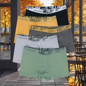 Cheap Men Boxer Briefs Boys Panties Men Underwear Polyester Pants KSL001 Letter: HELLO thumbnail-1