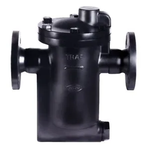 Threaded Inverted Bucket Steam Trap for Steam Pipeline Applications thumbnail-2