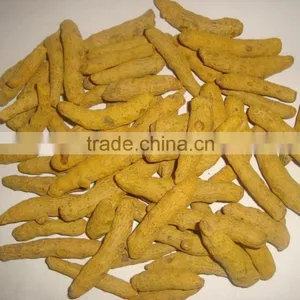 Turmeric thumbnail-1