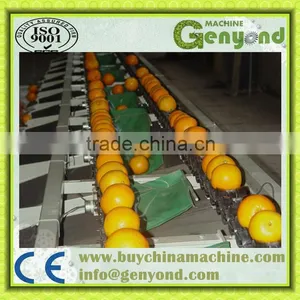 Orange Opto-electronic Grading Line thumbnail-1