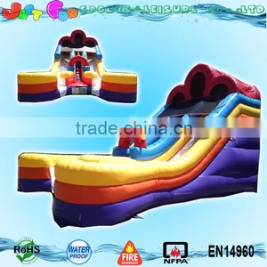 Buy Giant Inflatable Water Slides Dual Lanes for Kids and Adults Supplier's Choice thumbnail-1
