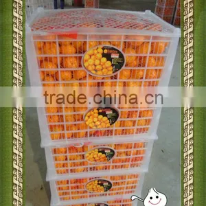 Fresh Baby Orange Early-maturing in Plastic Box thumbnail-1