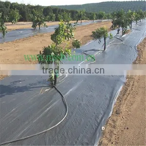 Waterproof Plastic Weed Mat for Agriculture thumbnail-1