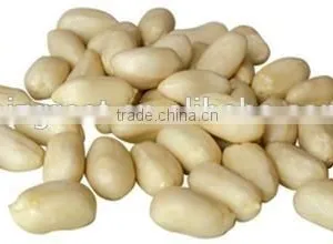China Blanched Peanut Kernels in Long Shape Best Price thumbnail-1