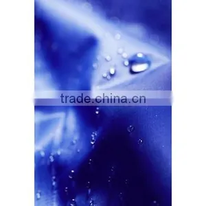 Ladies Custom Brand Printed Logo Waterproof and Windproof Rain Jacket thumbnail-5