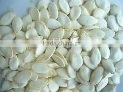 GWS Snow White Pumpkin Seeds Shine Skin Pumpkin Seeds Best Pumpkin Seeds Recipe thumbnail-4