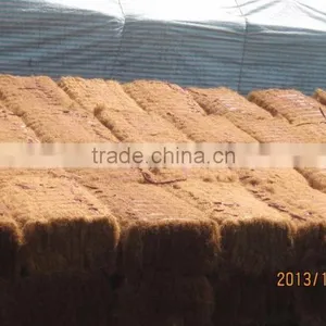 Coconut Fiber _ QQ : 2598494113 FOB : 200$ - 230$ thumbnail-3