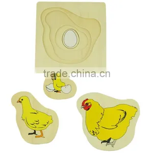Physics Teaching Aids Development of Chicken thumbnail-1