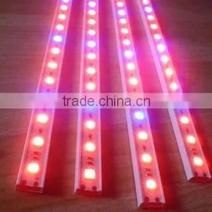 DC 12V 5050 SMD Rigid RGB Led Strip Light for Christmas Ornament With CE RoHs thumbnail-2
