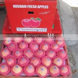 Fuji Apple thumbnail-1