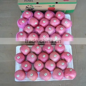 Fresh Apple Fruit Wholesale Distributors thumbnail-3
