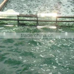 2015 Healthy Algae Spirulina for EU & USA Market thumbnail-5